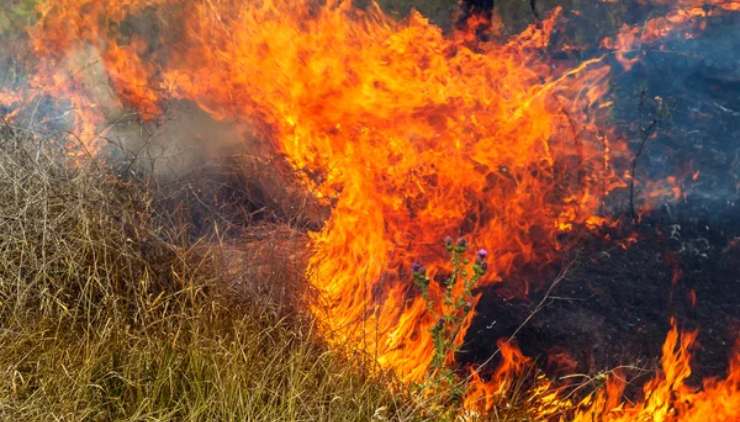 Dichiarato lo stato di emergenza in Puglia per gli incendi