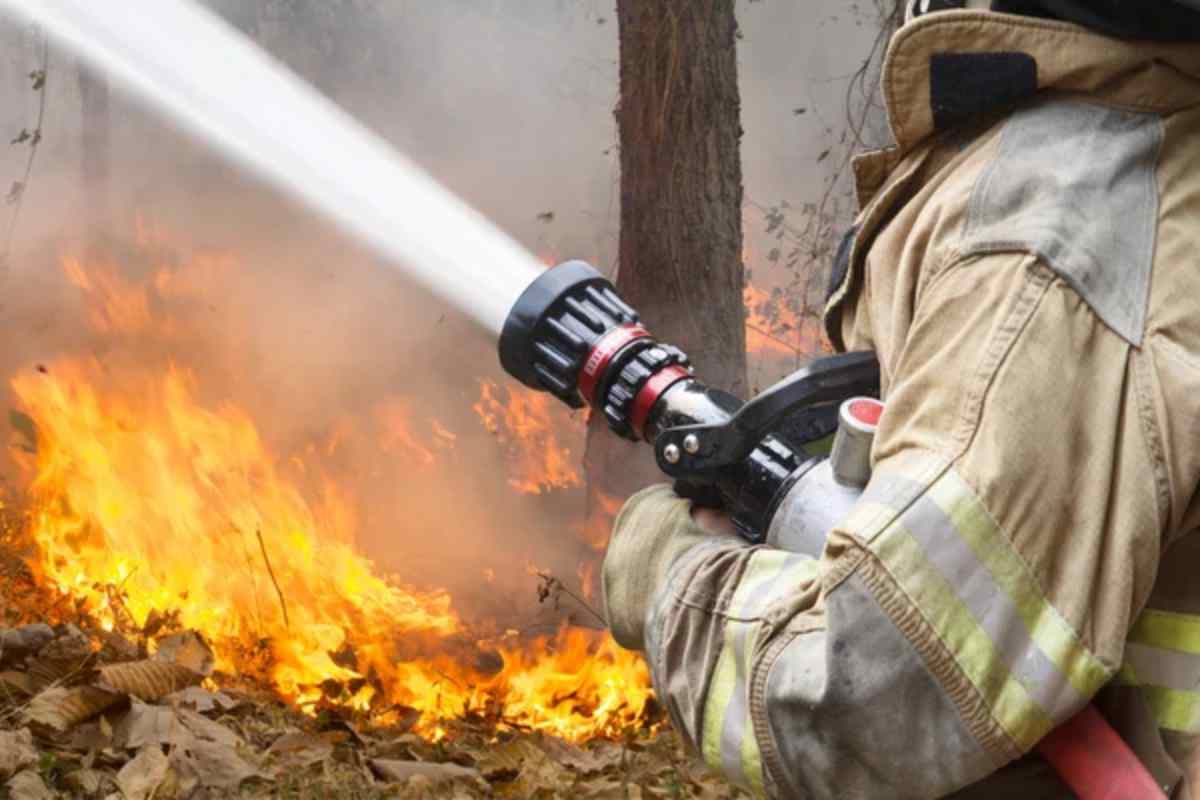 Vieste stato di emergenza in Puglia per gli incendi