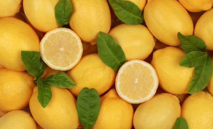 Ricetta e preparazione del pesto di limoni