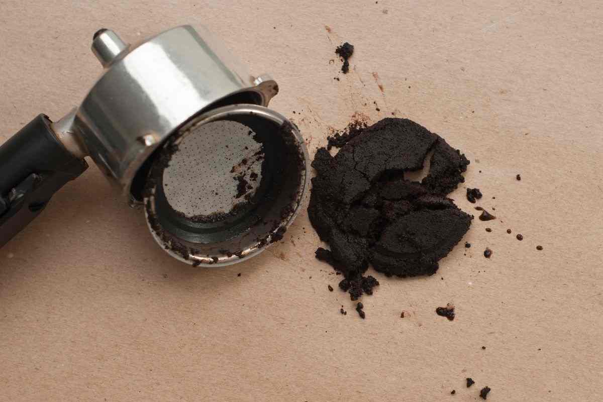 Fondi del caffè:contro formiche, lumache e lumache