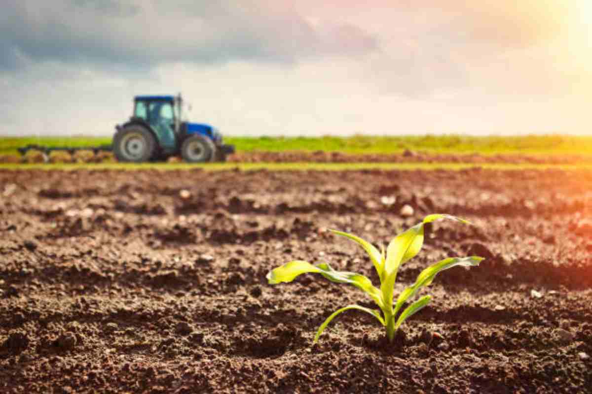 Quali sono le regole da rispettare se si ha un terreno agricolo