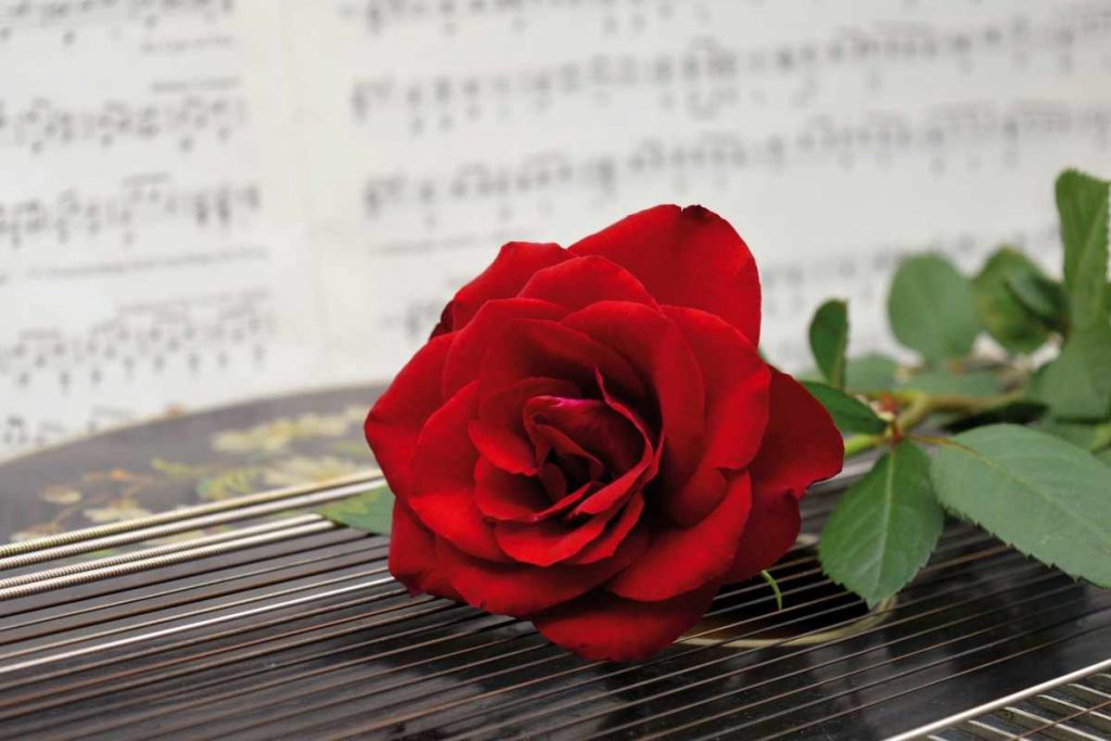 La serenata alternativa pugliese diventa virale, il video dei futuri