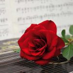 Serenata virale Puglia