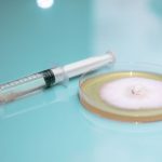 diffusione fungo morte negli ospedali degli Stati Uniti