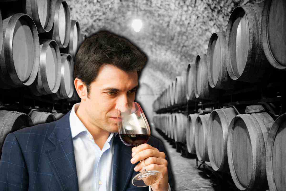 Quali sono i vini migliori della Puglia