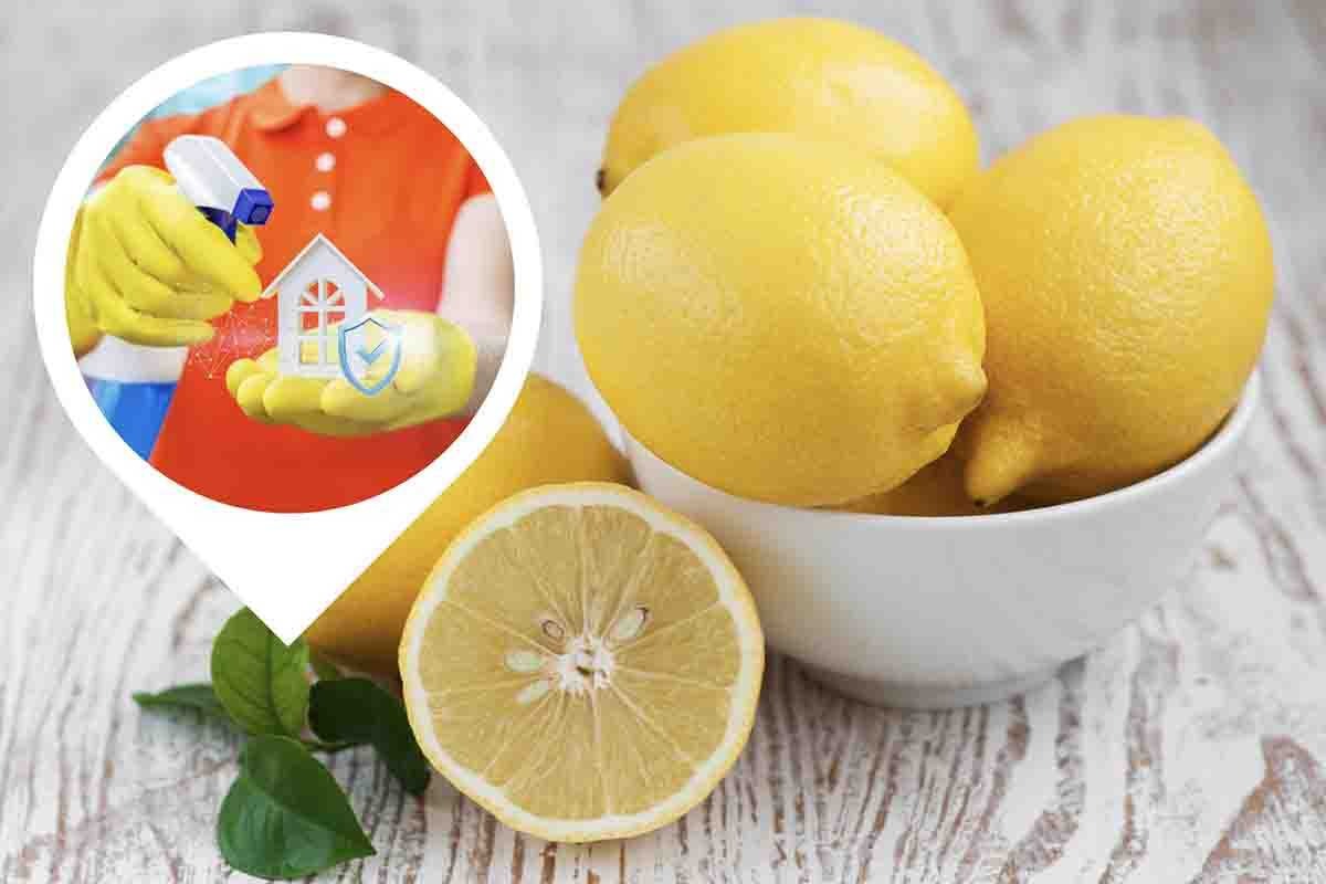 Limone casa pulita disinfettata