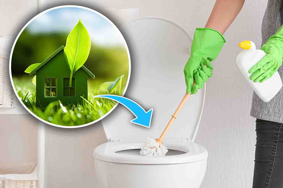 Come pulire il WC in modo ecologico: basta un solo ingrediente