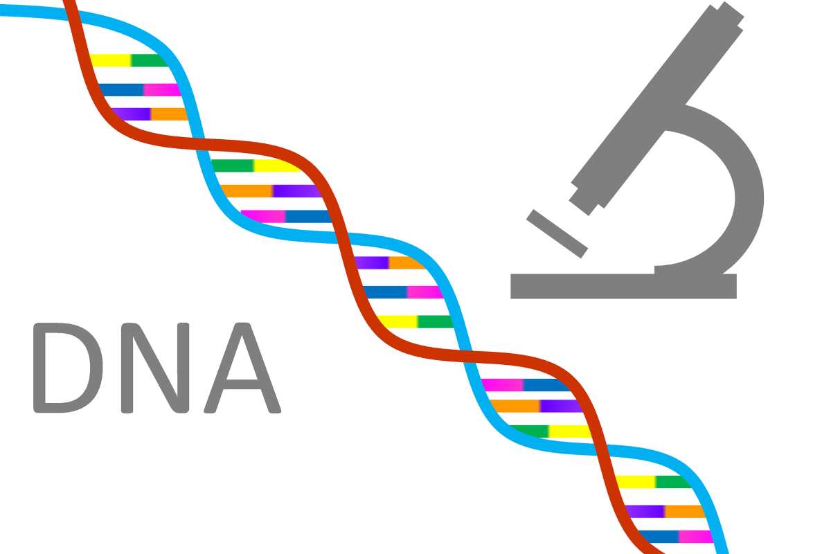 Famiglia distrutta dal test del DNA