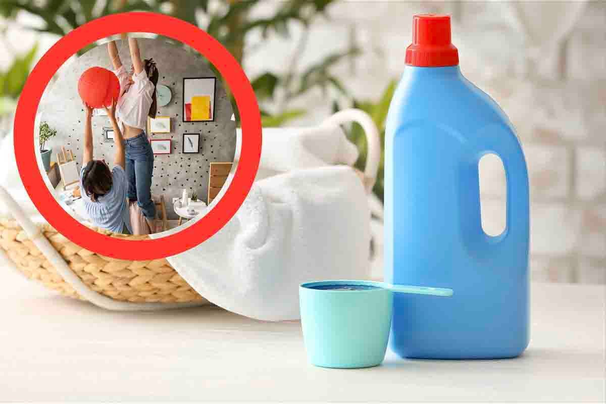 Flaconi di detersivo, non buttarli mai! Puoi trasformarli in elementi  decorativi bellissimi per la casa - TuriWeb