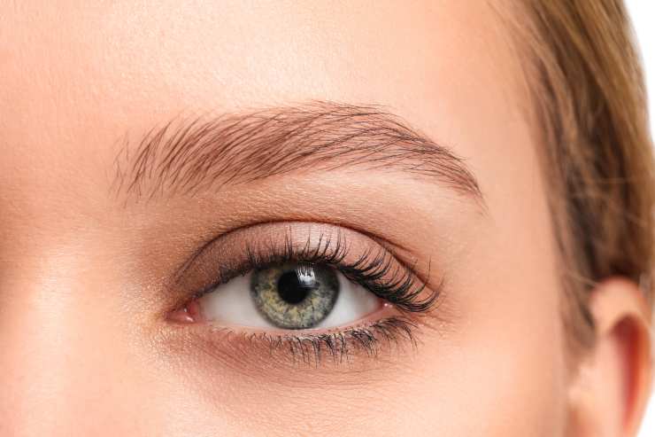 What are eyebrows, explained
