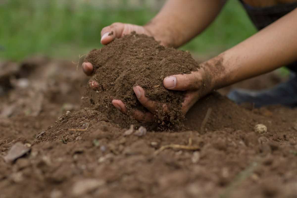 Meno suolo in Italia 