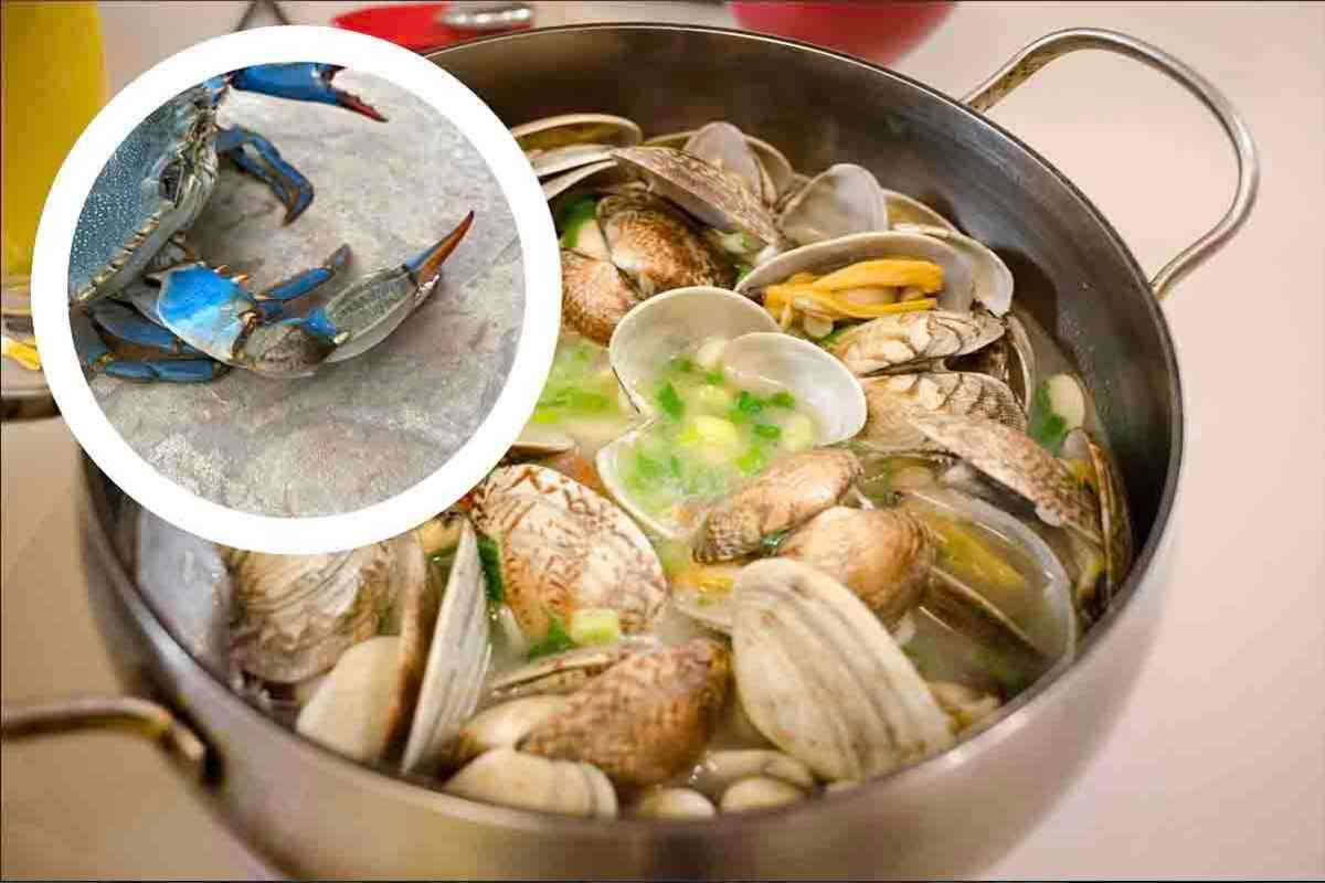 Vongole Granchio Blu: cosa succede