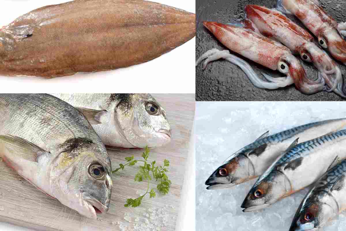 I pesci da acquistare a novembre e congelare