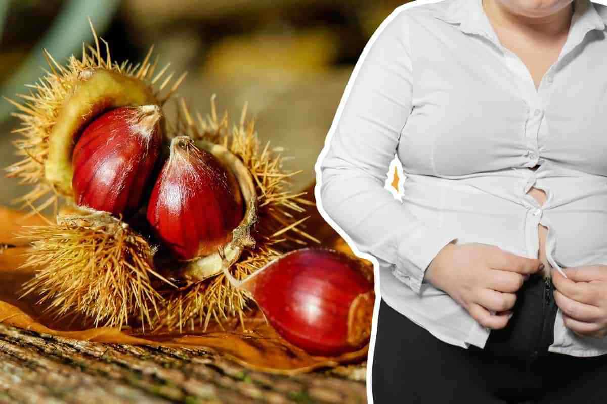 Le castagne fanno ingrassare?