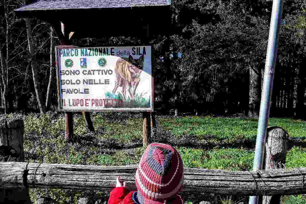 Cosa fare nel parco della Sila