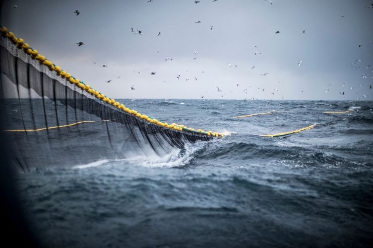Pescatori puglia normative Ue contro pesca gamberi