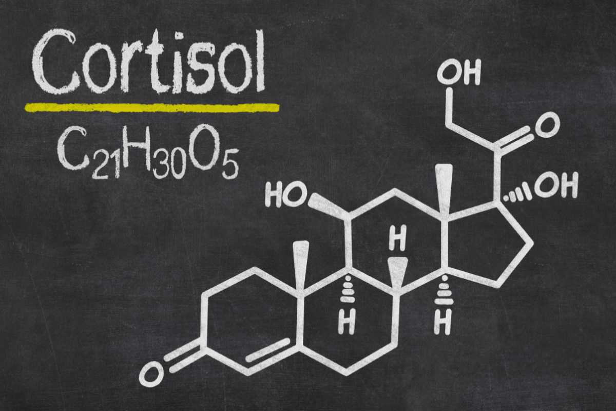 Cortisolo alto: 5 segnali