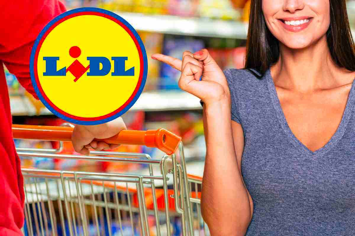 LIDL novità dicembre: cosa trovare