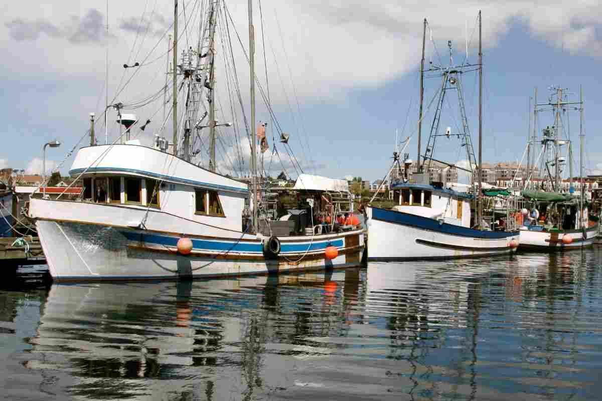 Pescatori rischio normative europee Puglia